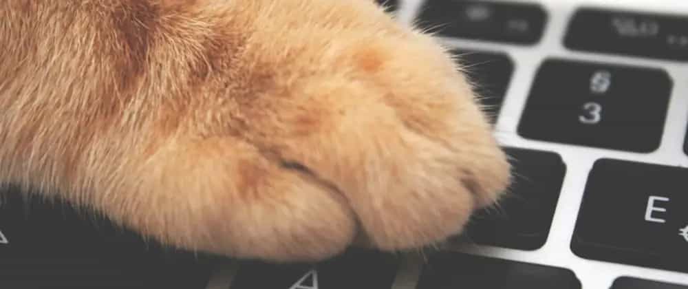 What If Animals Could Code... header image