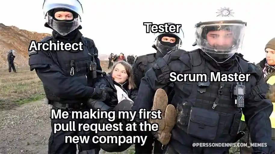 Programming meme