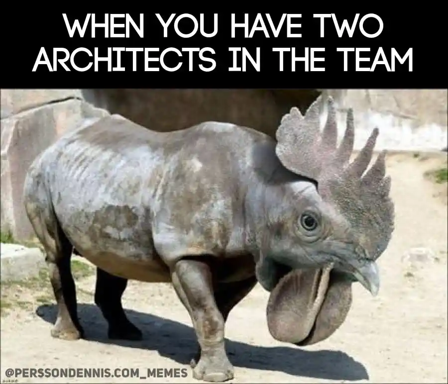 Programming meme