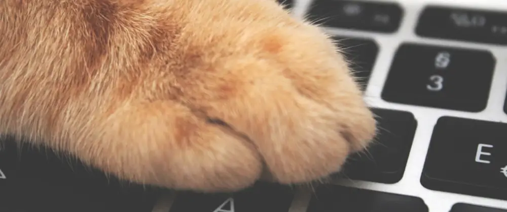 header image for article What If Animals Could Code...