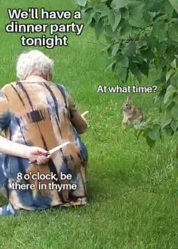 Grandma-invites-rabbit-meme