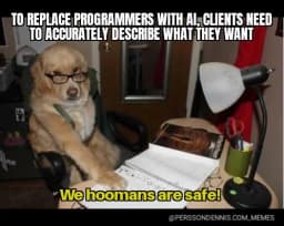 Programmers are safe meme